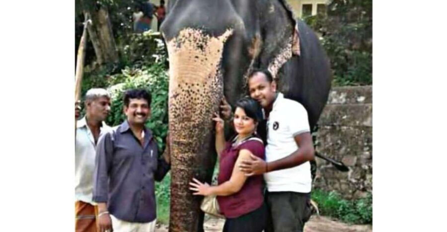 Lesley Tuktuk Safari - Good To Know