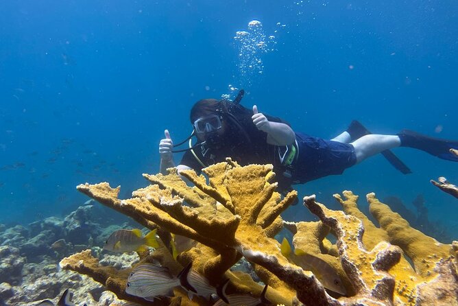 3 Best Fishing Tours In Key Largo