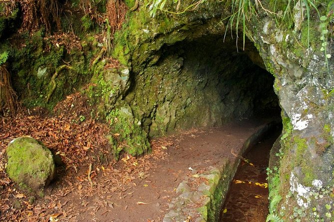 Levada Caldron Green