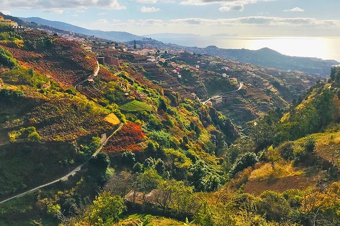Levada Do Norte - Walking Tour
