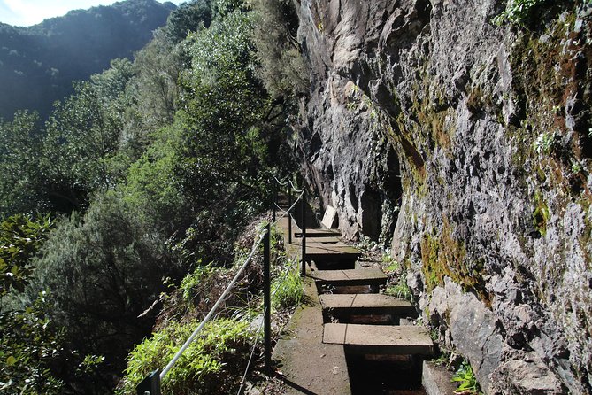 Levada Do Rei - Ribeiro Bonito (Full Day Walk)