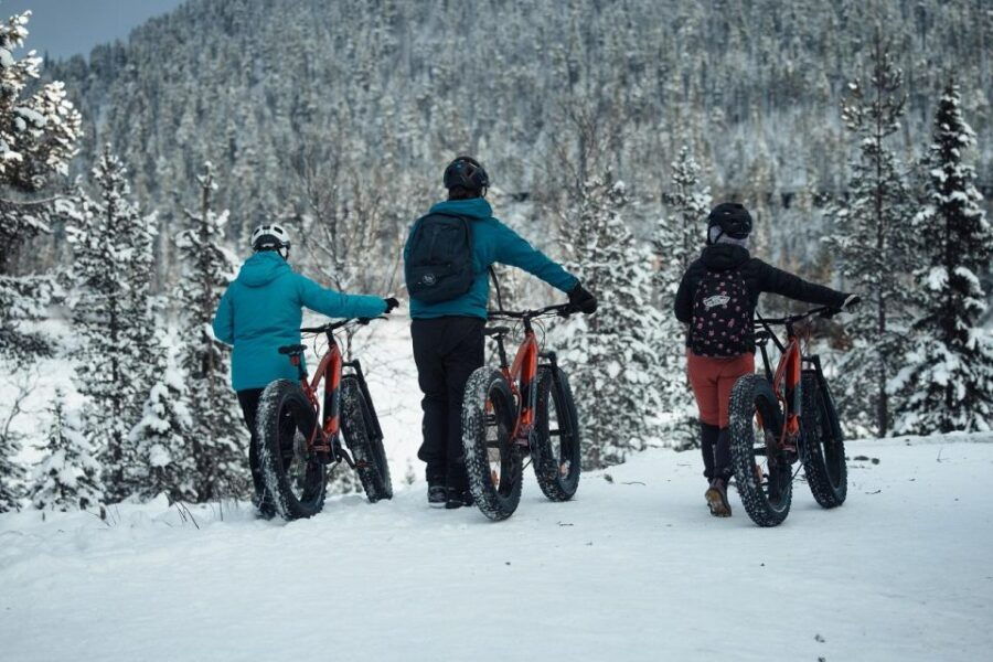 Levi, Lapland: Easy E-Fatbike Trip to White Nature