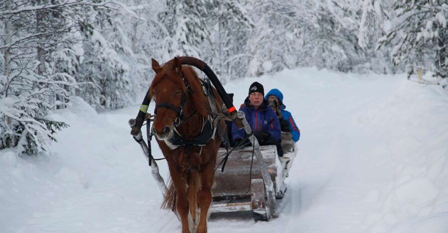 Levi, Polar Lights Tours: One Horse Open Sleigh Ride - Good To Know