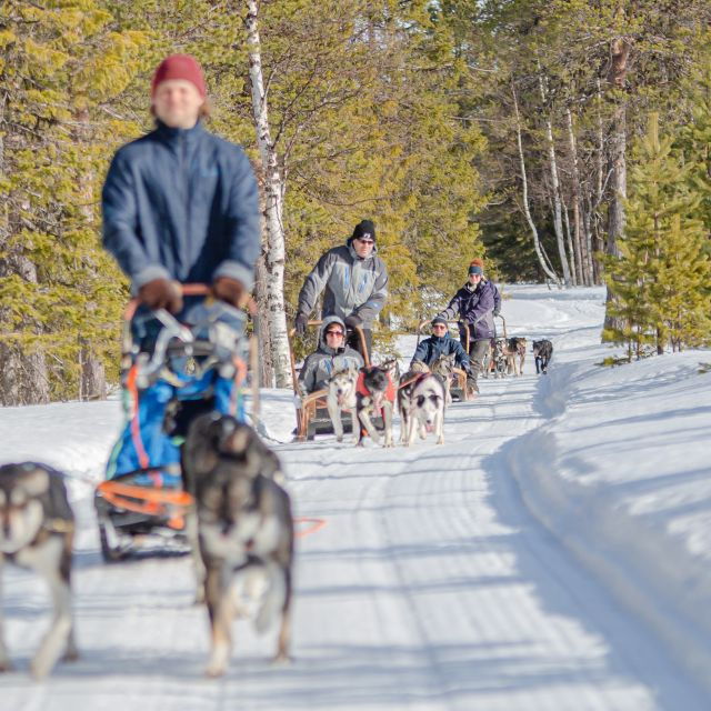 Levi Polar Lights Tours: Reindeer and Husky Safari