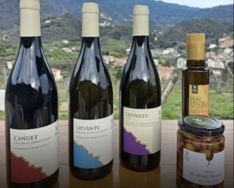 Lievàntu Wine Experience: Tour & Tasting in Levanto Valley