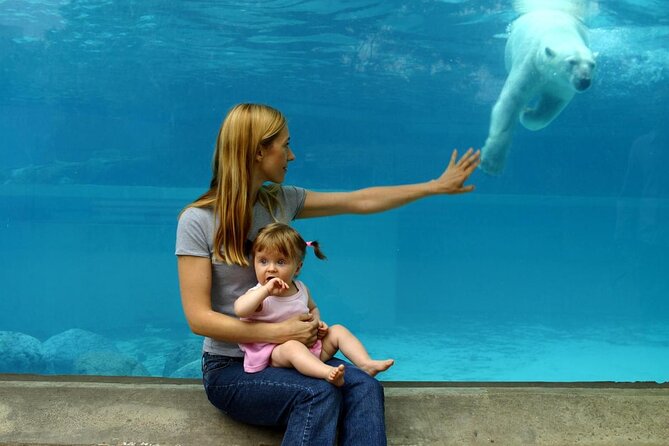 Lincoln Park Zoo Scavenger Hunt