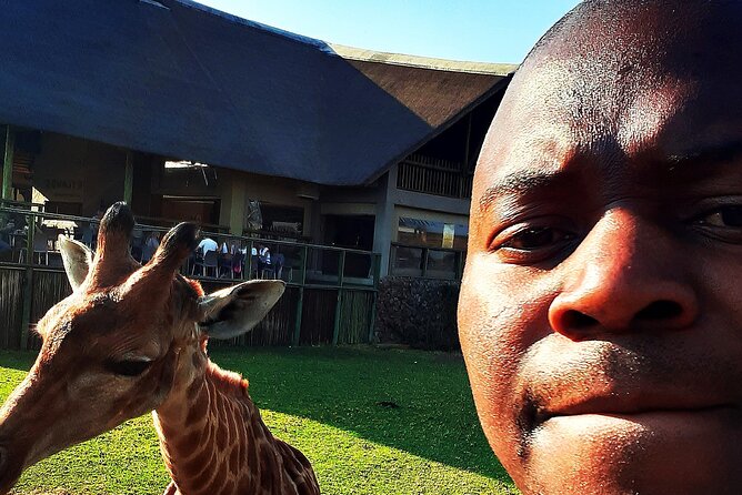 Lion Safari Park Tour(Half-Day) - Good To Know