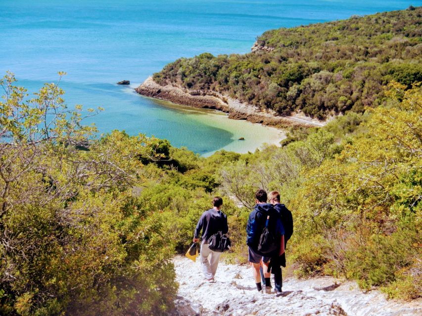 Lisbon: Arrábida Snorkeling Adventure - Good To Know