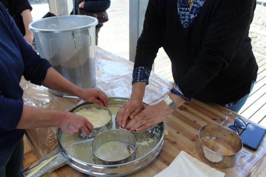 Lisbon: Azeitão Cheese Workshop With Wine & Food Tasting - Good To Know