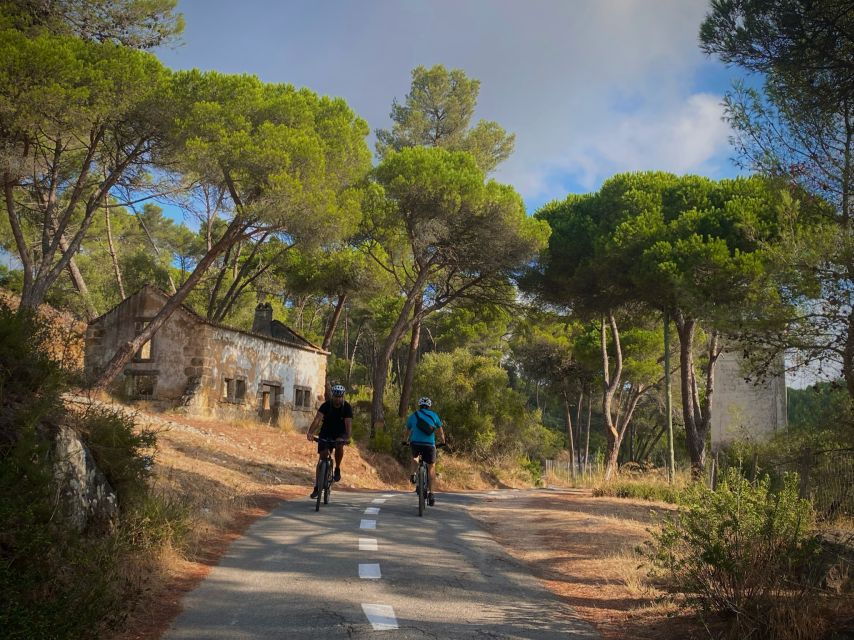 Lisbon: E-Bike Trip From the Sintra Mountains to Cascais Sea - Good To Know