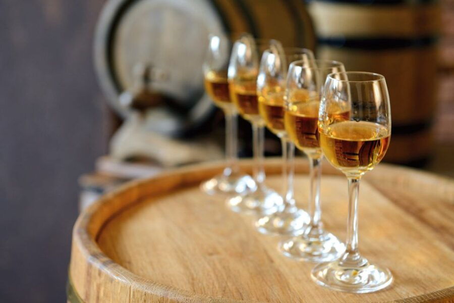 Lisbon: Full-Day Évora Wine Tour