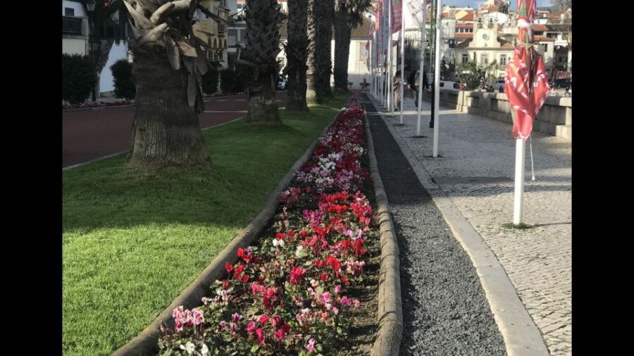 Lisbon: Pena Palace, Sintra, Cascais, and Cabo Roca Day Trip - Good To Know