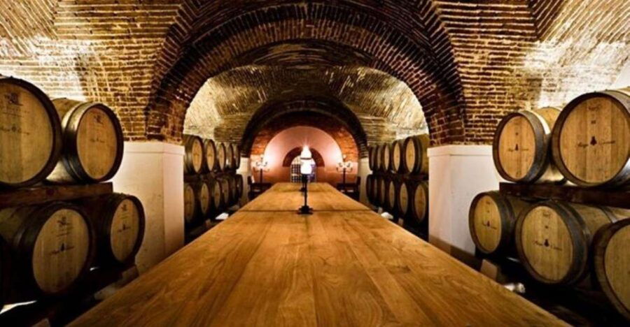 Lisbon: Private Full Day Evora & Alentejo Wine Tour - Good To Know