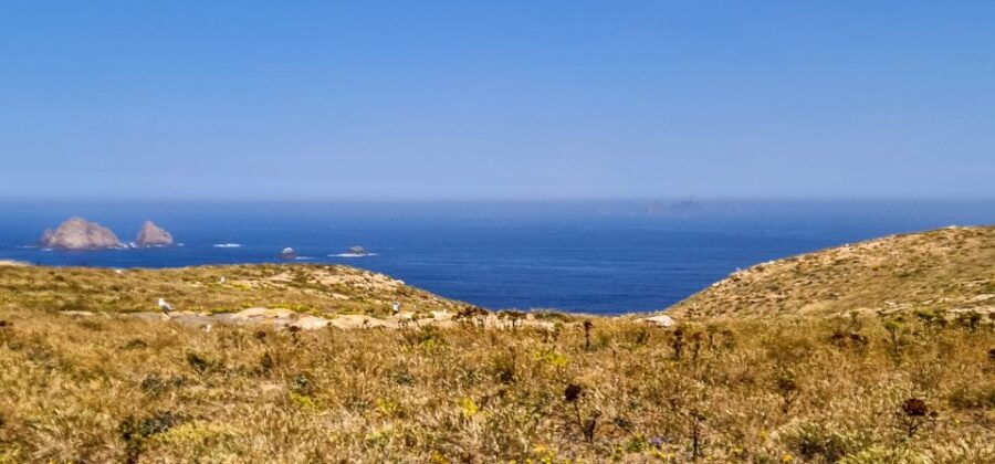 Lisbon: Private Full Day Tour to Berlengas Island - Good To Know