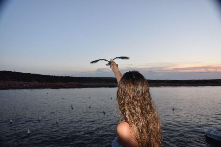 Lisbon: Private Sailing Experience - Good To Know