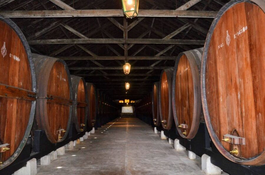 Lisbon: Snorkeling and Wine Tasting in Arrábida - Good To Know