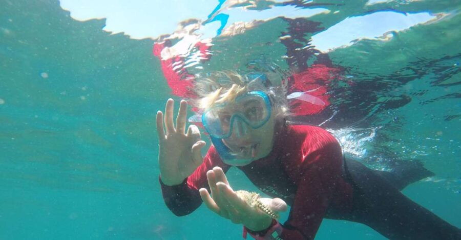 Lisbon: Snorkelling in Sesimbra/Arrábida Natural Park - Good To Know
