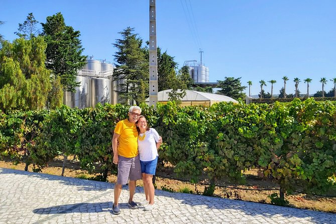 Lisbon & The South Side Wine Regions Private Luxury Tour - Good To Know