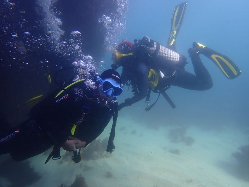 Lisbon: Try Dive in Arrábida Natural Park / Marine Reserve