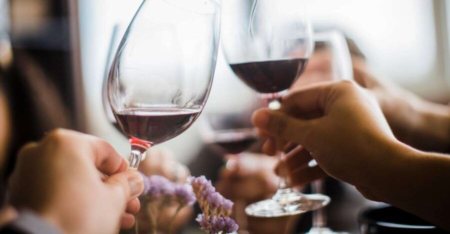 Lisbon: Wine Tasting Day Tour - Good To Know