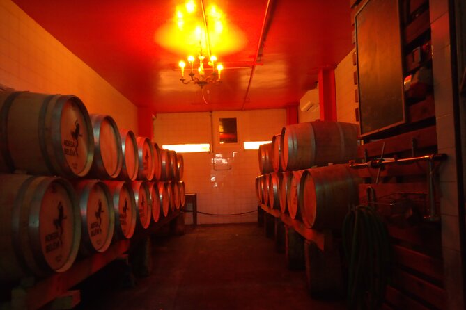 Lisbons Urban Winery: Winetasting and Cellar Tour at Adega Belém - Experience Details