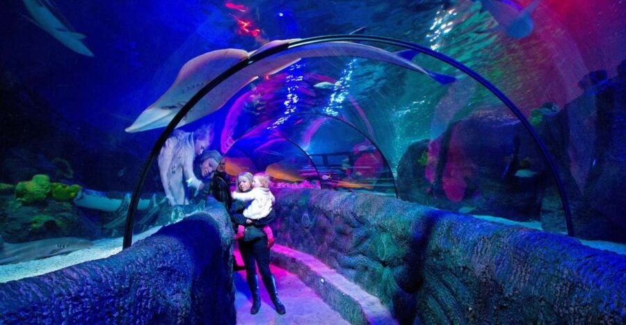Loch Lomond: Sea Life Entrance Ticket