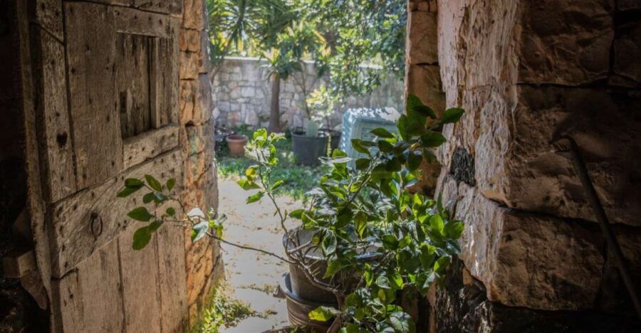Locorotondo: Guided E-Bike Tour With Olive Oil Tasting