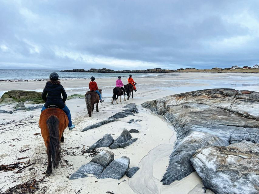 Lofoten: Guided Horse Riding Tour Over Hov and Hovsund