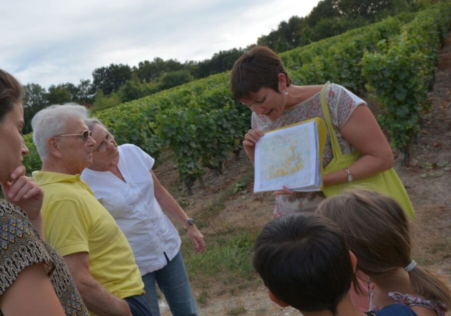 Loire Valley: Vouvray Vineyard Tour and Wine Tasting