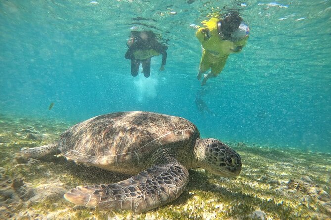 Lombok Daily Tour