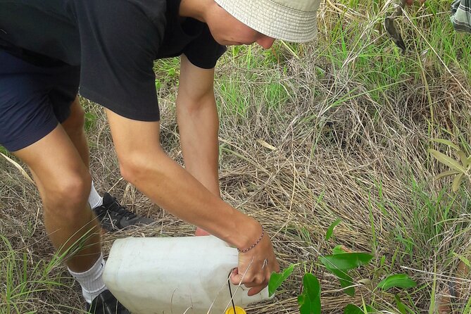 Lombok Eco-Trekking 2 Day to Mount Rinjani Crater Rim via Senaru