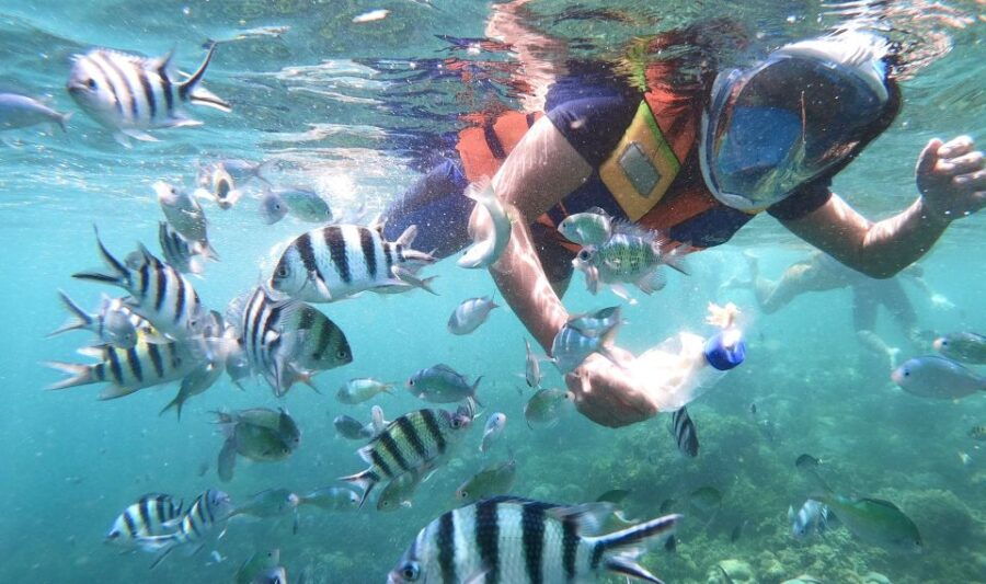 Lombok: Gili Islands Private Snorkeling Boat Trip - Good To Know
