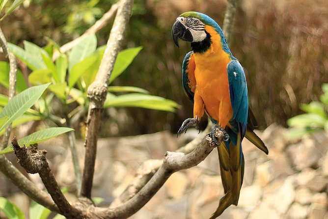 Lombok Wildlife Park Skip the Line Ticket