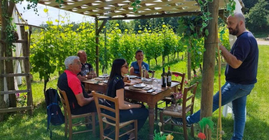 Lonato: Tour and Tasting of Valtenesi and Lugana Wines