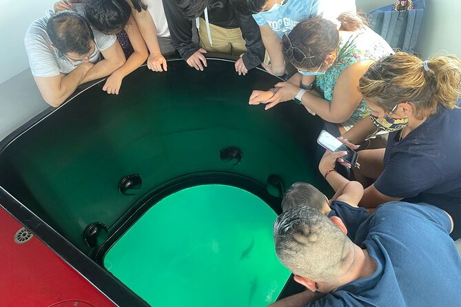Long Beach Glass Bottom Boat Eco-Tour