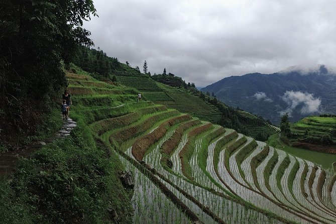Longji Rice Terraces and Pingan Private Self-Guided Tour  - Guilin - Good To Know