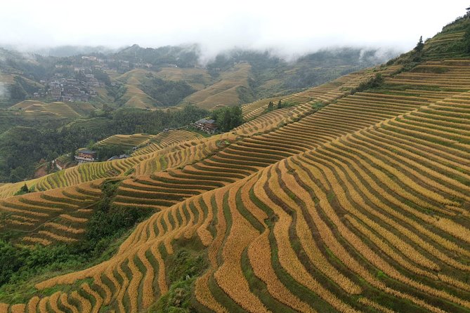 Longji Rice Terraces With the Dazhai Cable Car Private Day Tour