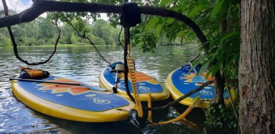 Longwood: Wekiva River Freshwater Springs Paddleboard Tour - Good To Know