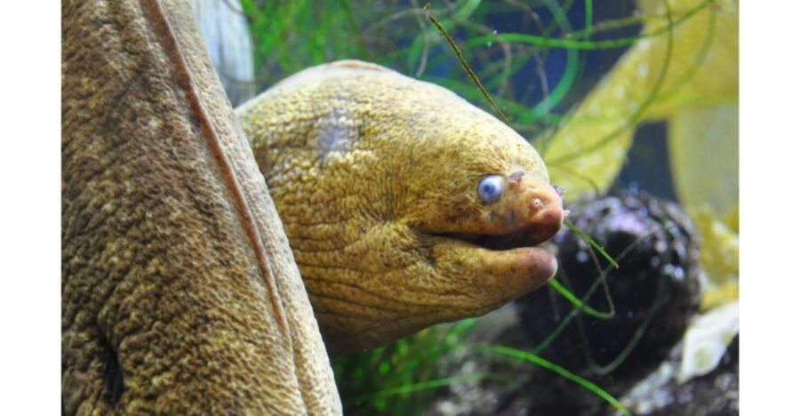 Los Angeles: Heal The Bay Aquarium in Santa Monica - Good To Know