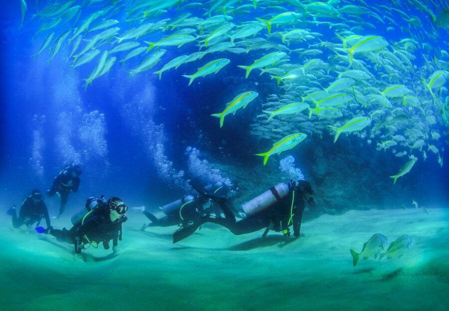 Los Cabos: 3-Hour Introductory Scuba Diving Adventure