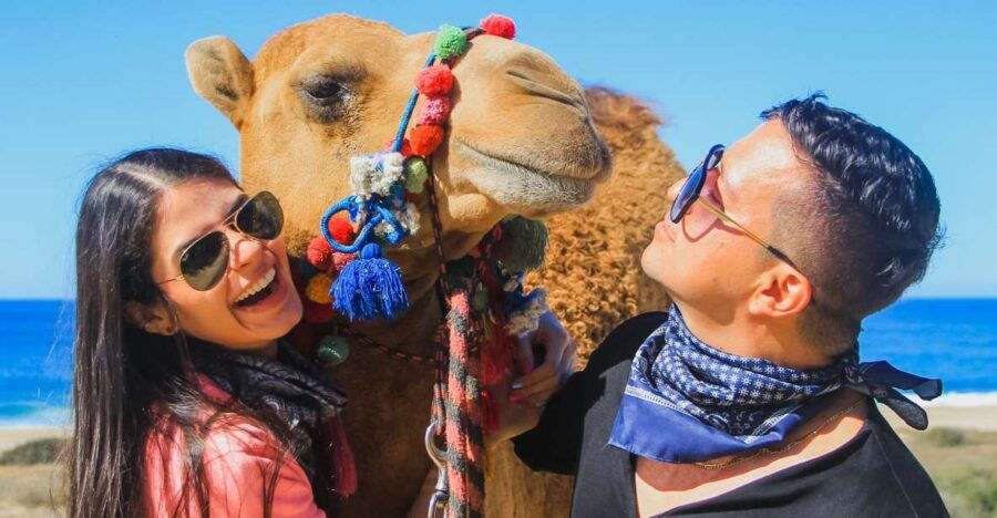 Los Cabos: Camel Safari Adventure