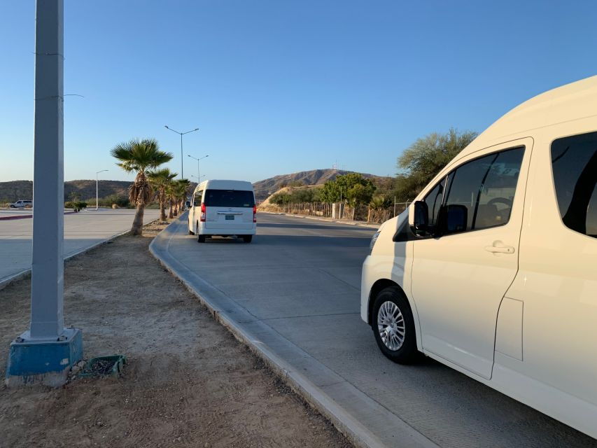 Los Cabos: Roundtrip Airport Transfer - Good To Know
