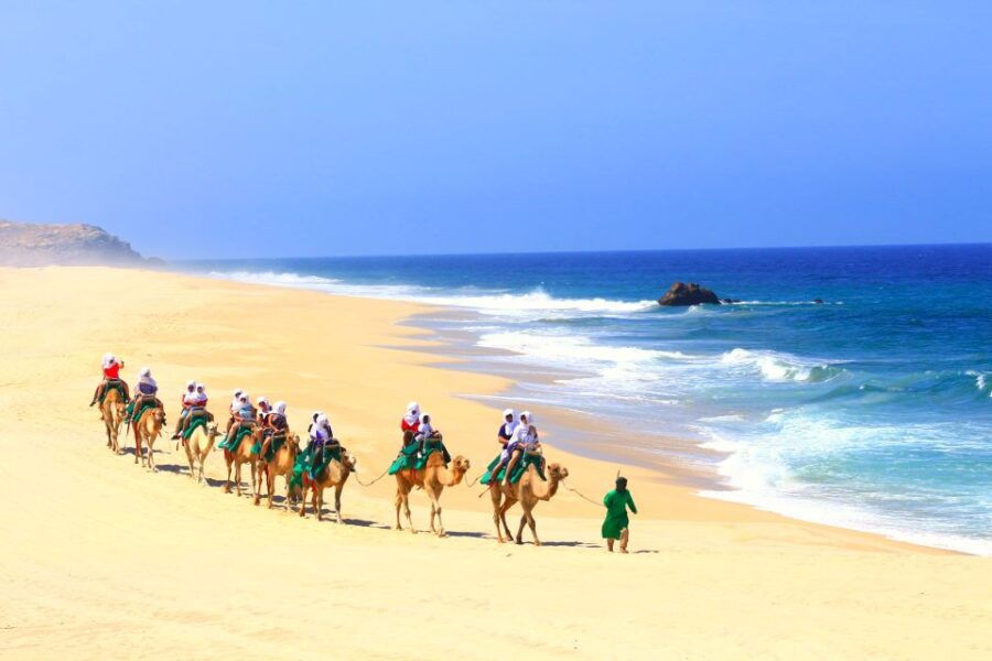 Los Cabos: Sunset Fiesta Dinner Cruise With Camel Ride Tour