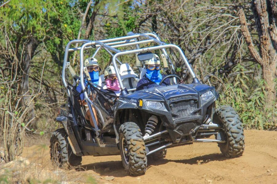 Los Cabos: Zip Lines and UTVs With Mexican Lunch and Drinks