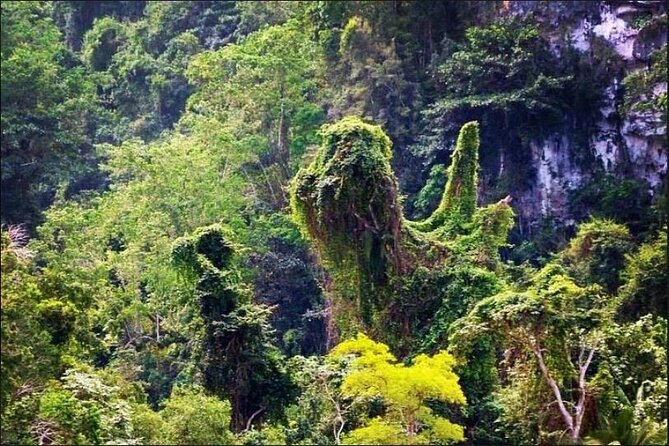 Los Haitises National Park Hiking Kayaking (Private Excursion) - What To Bring
