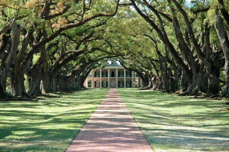 Louisiana: Laura, Oak Alley, or Whitney Plantation Tours - Tour Options Comparison