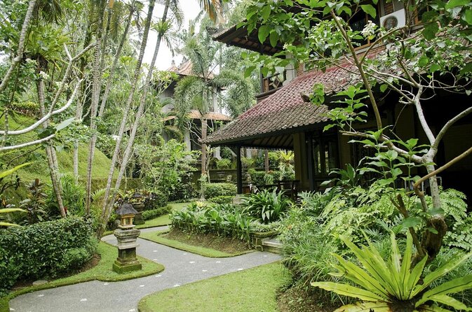 Lovina Dolphin Watching, Snorkeling and Waterfall Tour in Bali - Good To Know