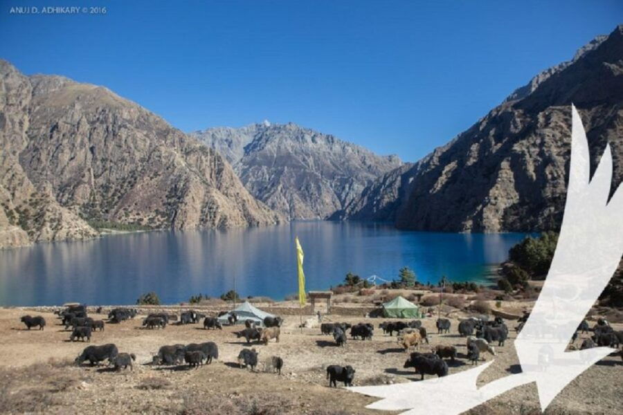 Lower Dolpo Trek - Good To Know