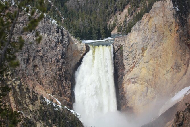 Lower Loop Yellowstone Wildlife Scenic – Jackson Hole Day Tour WY
