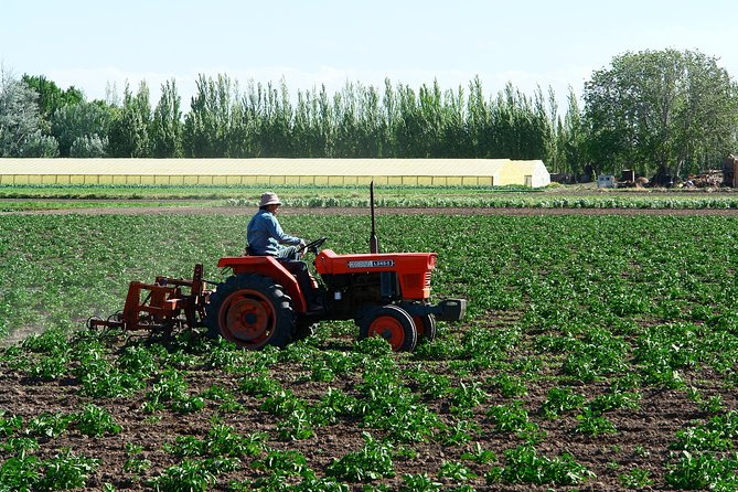 Lower Valley of Chubut River: Welsh Heritage - Puerto Madryn - Good To Know
